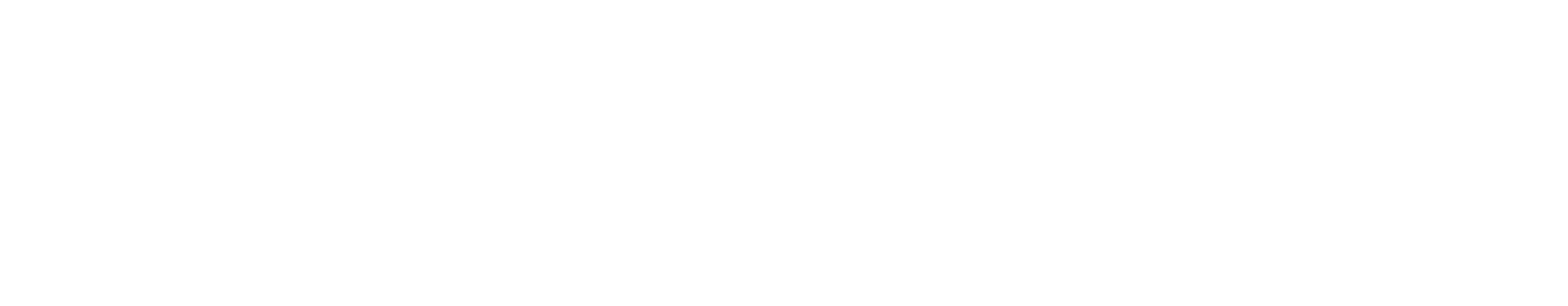 Wondika